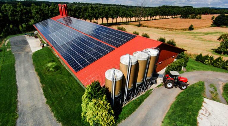 MIPAAF, In dirittura d'arrivo bando per fotovoltaico su tetti agricoli previsto da programma PNRR – Confapi Sicilia