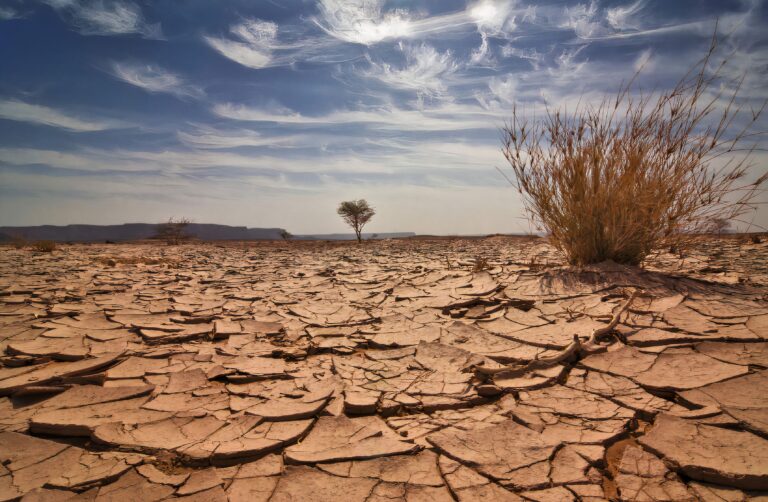 Scopri di più sull'articolo Sostegno alle imprese agricole siciliane colpite dalla siccità di ulteriori 15 milioni di euro per l’anno 2024