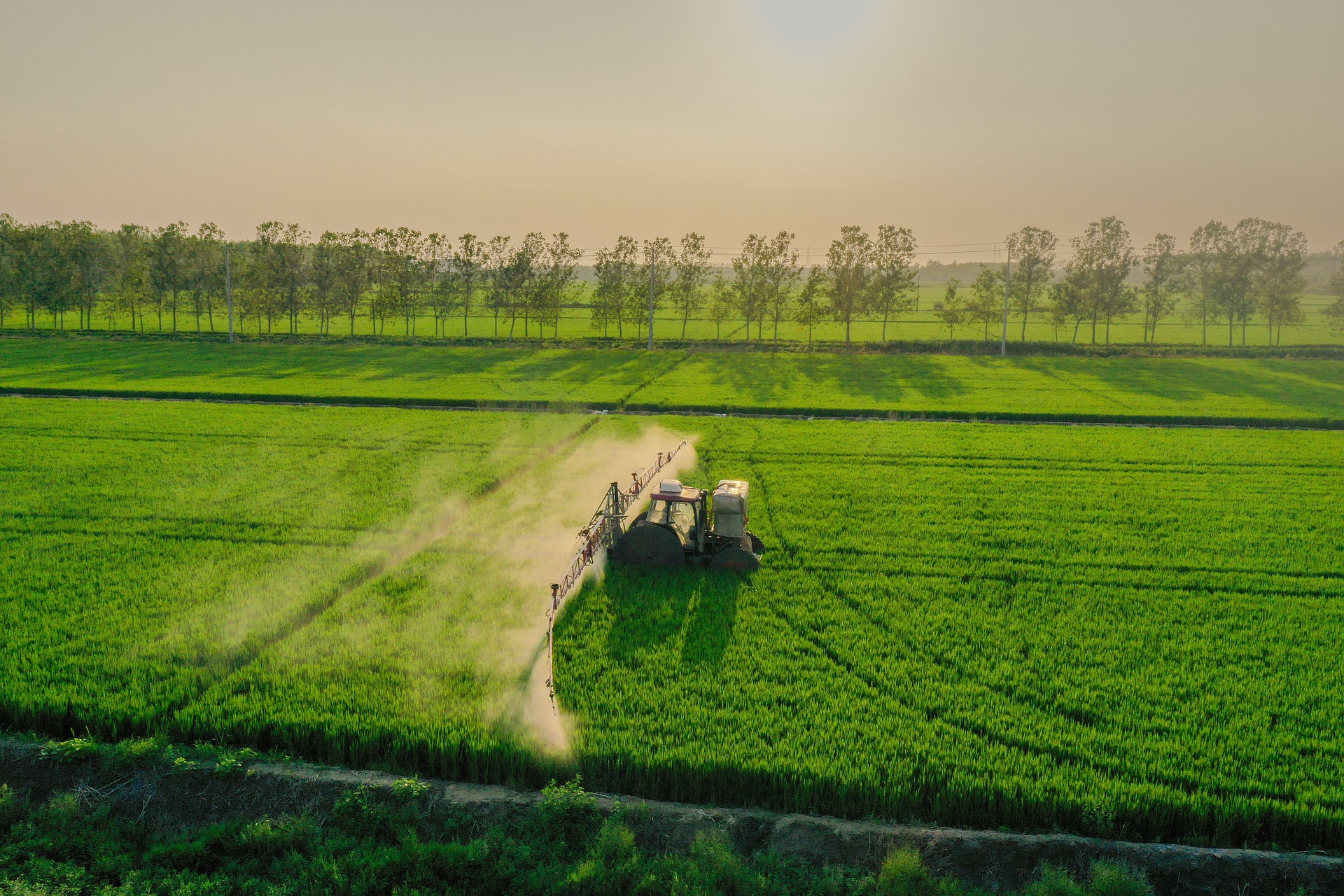 Al momento stai visualizzando Fondo AgriCat contro i danni alle produzioni agricole causati da eventi atmosferici di natura catastrofale