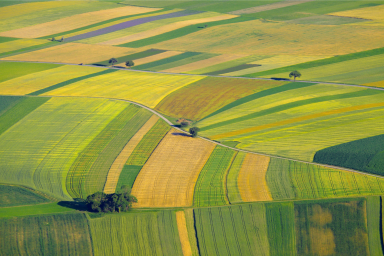 Scopri di più sull'articolo PNRR Investimento 2.3 – Sottomisura – “Ammodernamento dei macchinari agricoli che permettono l’introduzione di tecniche di agricoltura di precisione”