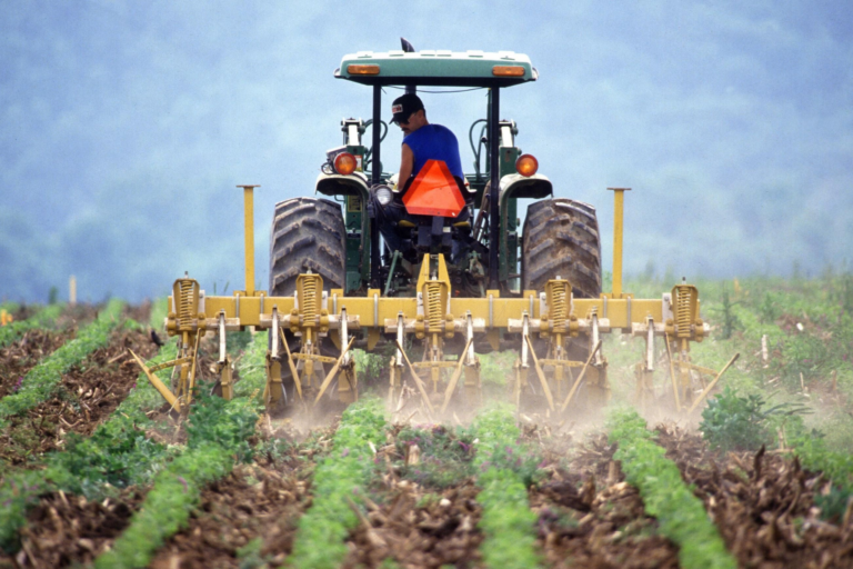 Scopri di più sull'articolo Fondo Innovazione – Intervento a sostegno della produttività