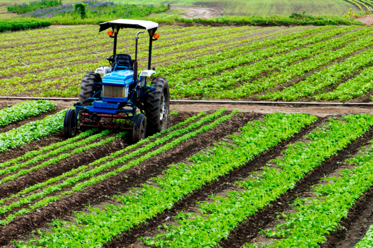 Scopri di più sull'articolo Bonus ZES Agricoltura: disponibile il modello per le domande