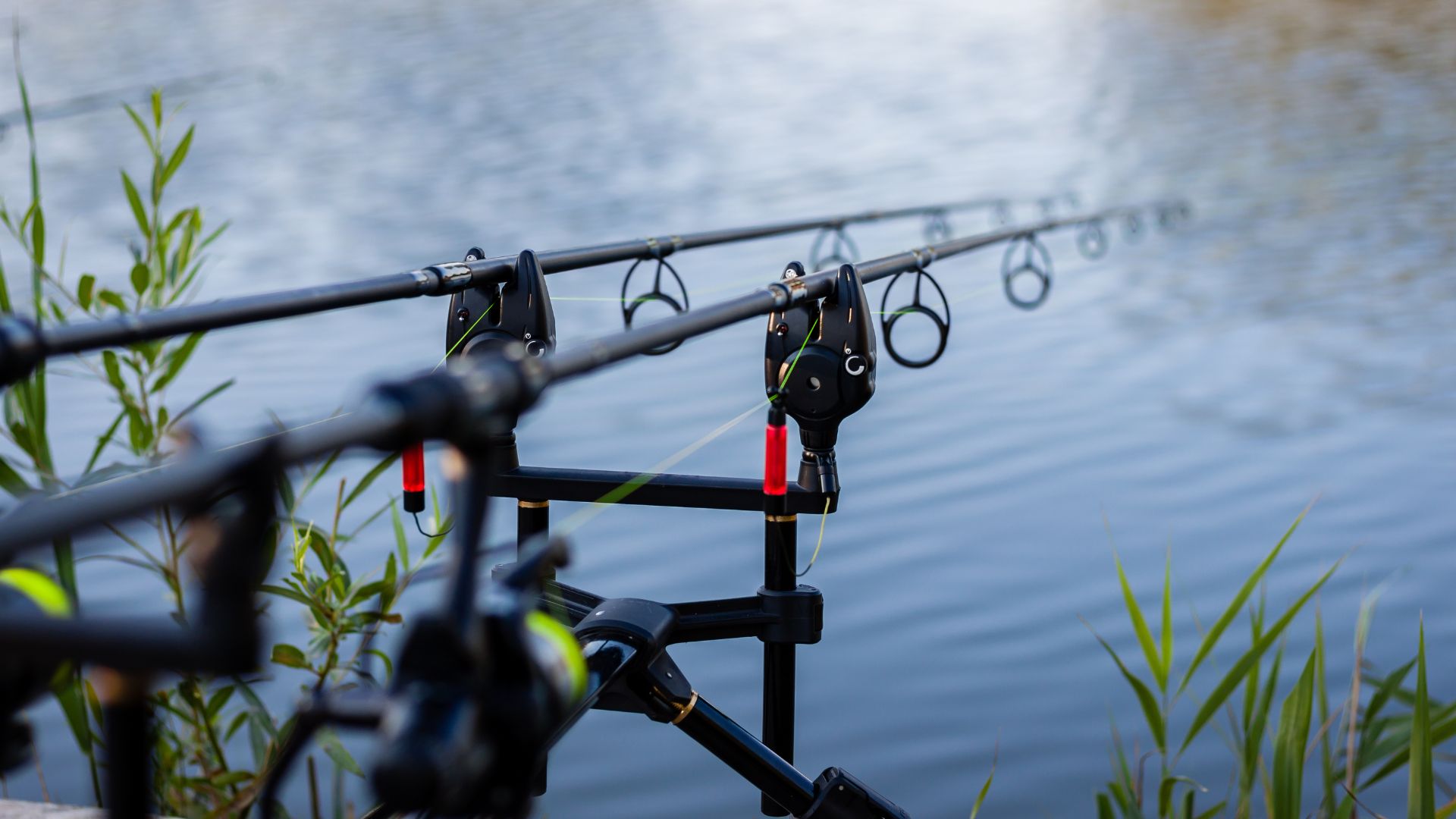 Al momento stai visualizzando Pesca: bando regionale da sei milioni di euro per infrastrutture e tecnologie