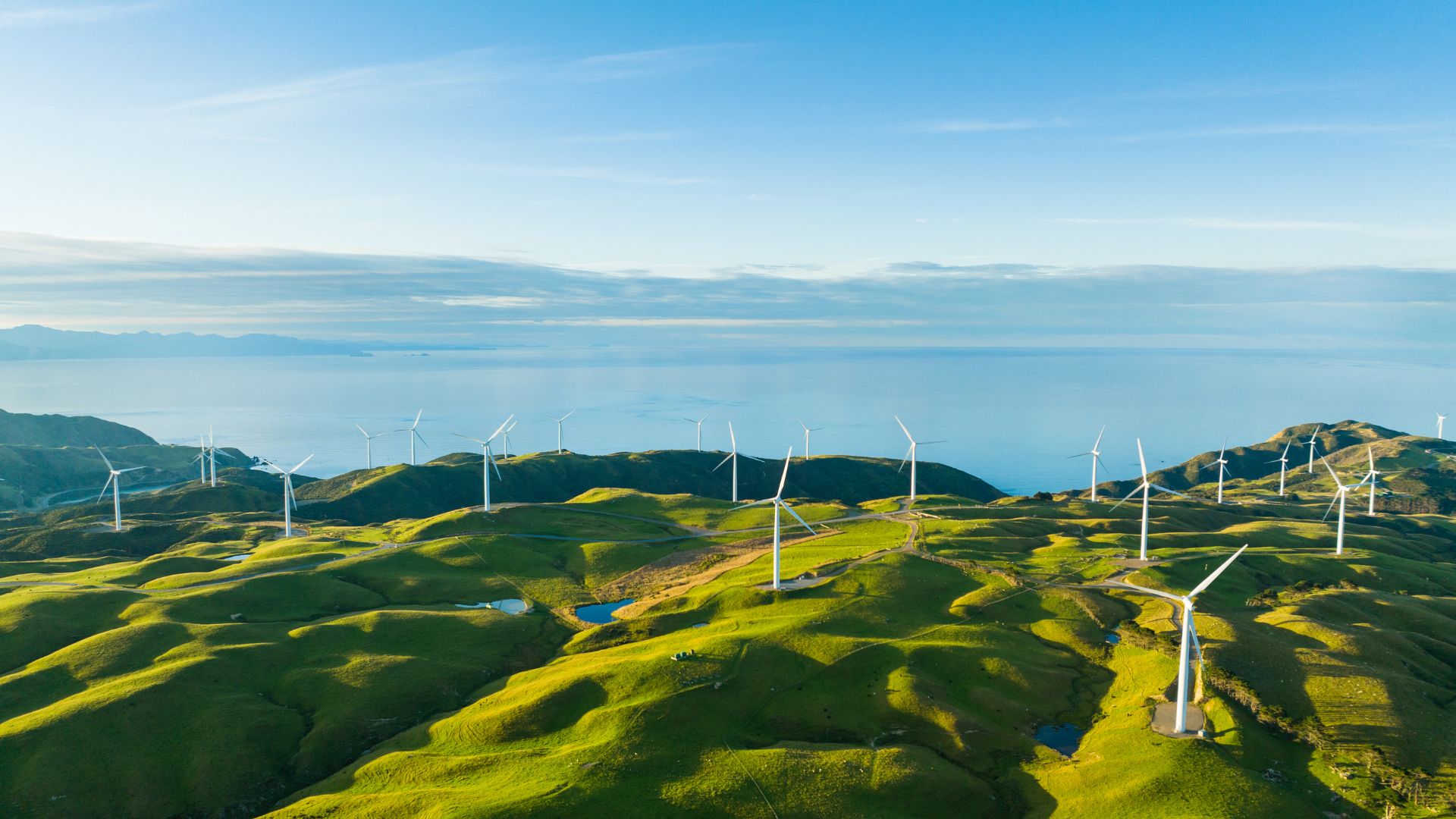 Al momento stai visualizzando Bando efficienza energetica per le imprese di trasformazione agricola
