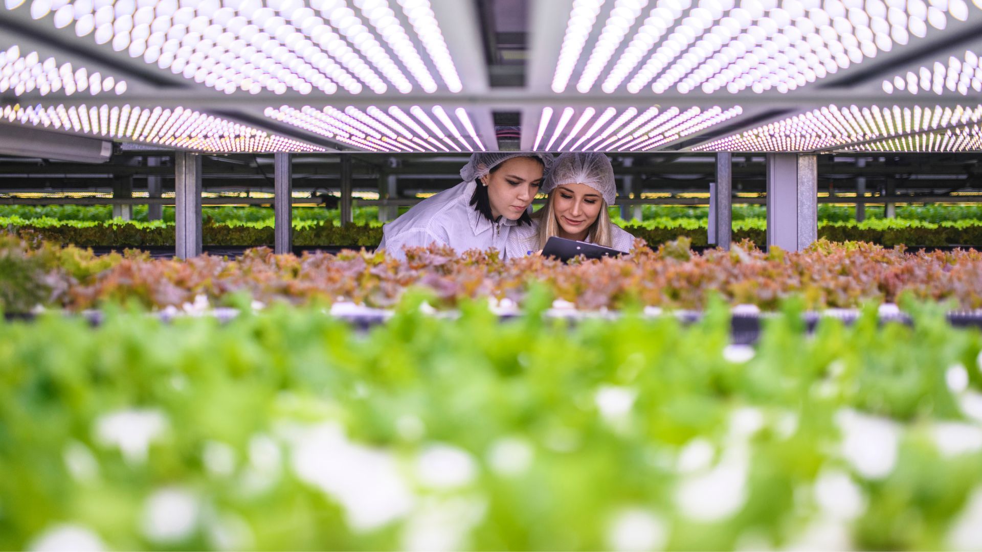 Al momento stai visualizzando Agroalimentare, opportunità di promozione al regional tasting di Bruxelles 2025
