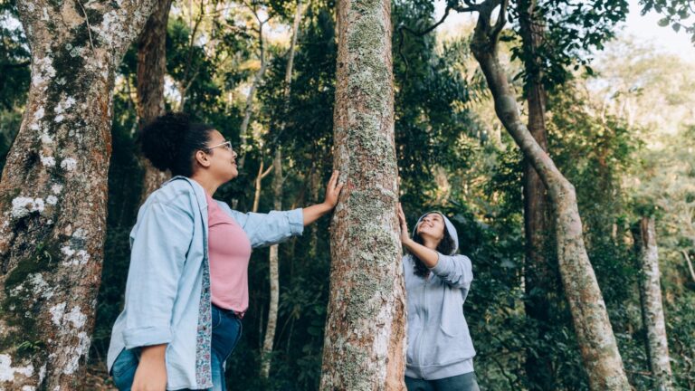 Scopri di più sull'articolo Premio “Custode dell’Ambiente”: candidature aperte per le imprese sostenibili