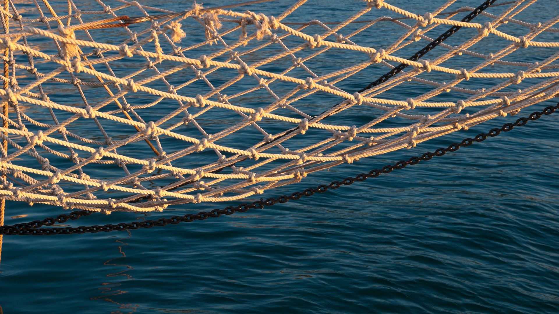 Al momento stai visualizzando Prorogati i termini per il bando competitività nel settore pesca