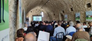 WhatsApp Image 2023-07-07 at 15.38.07 (1)