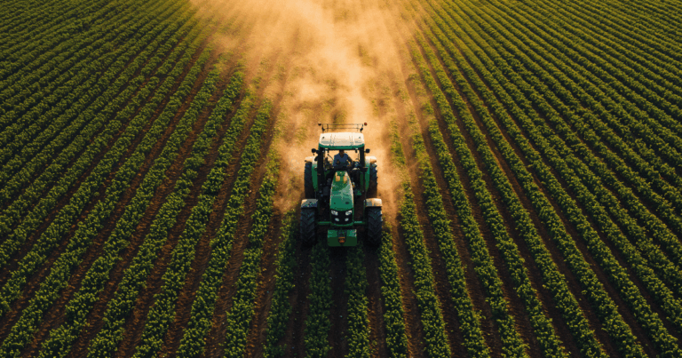 Scopri di più sull'articolo ISMEA Più Impresa: mutui agevolati e contributi per l’agricoltura giovanile