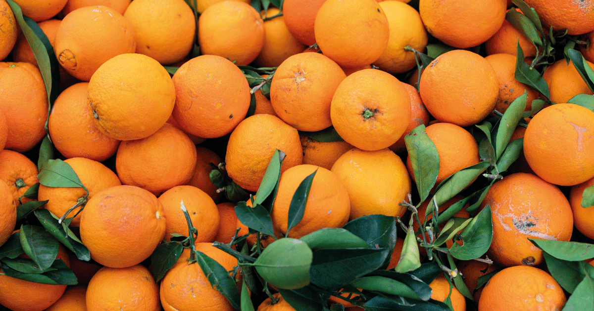 Al momento stai visualizzando Ciclone Harry, avviso per la segnalazione dei danni alle imprese agricole