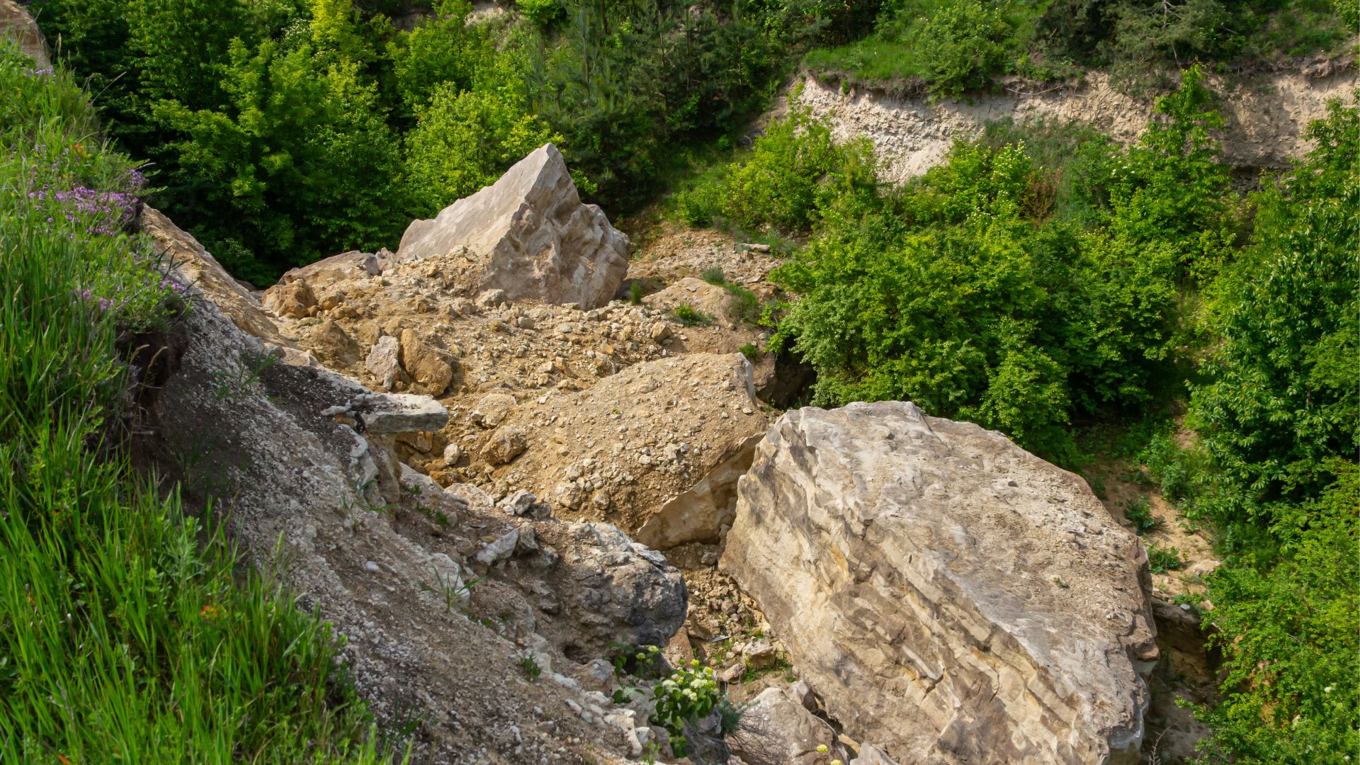 Al momento stai visualizzando Ciclone Harry, prorogata la scadenza per i contributi a imprese costiere e di Niscemi