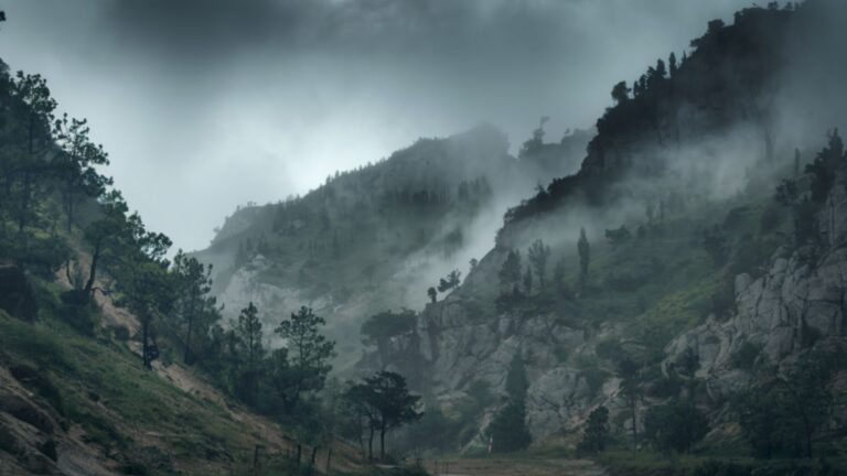 Scopri di più sull'articolo Misure straordinarie post-maltempo, il 19 Febbraio webinar per le imprese