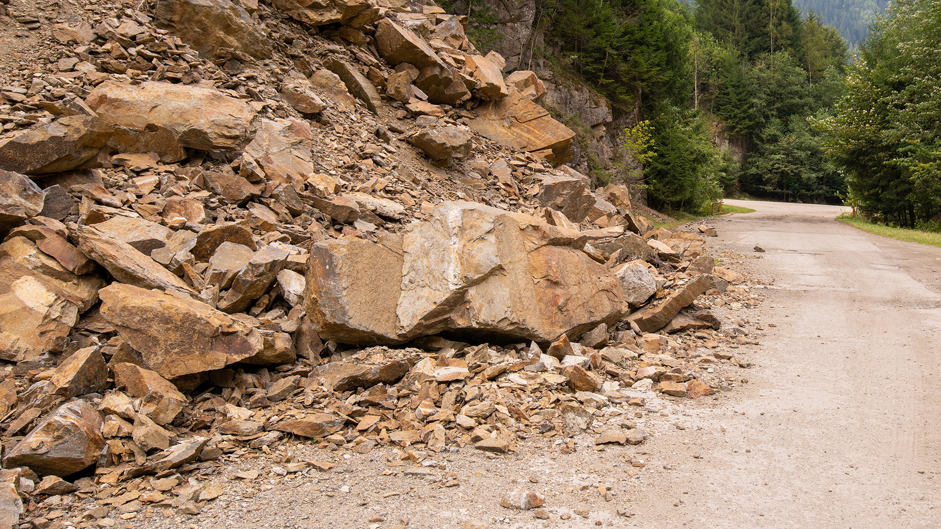 Al momento stai visualizzando Ciclone Harry e frana di Niscemi: avviata la procedura di erogazione dei contributi alle imprese