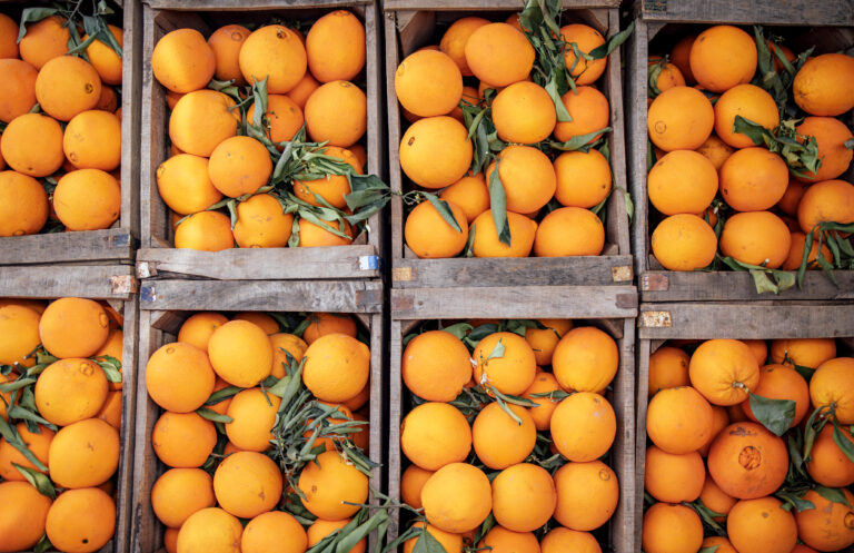 Scopri di più sull'articolo Promozione dei prodotti di qualità: bando da 7 milioni per le eccellenze agroalimentari siciliane