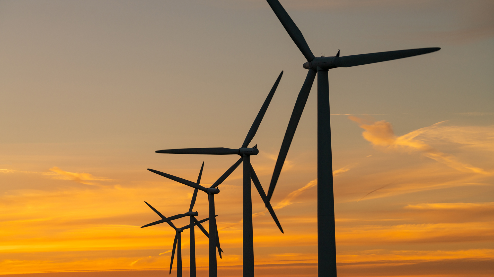 Scopri di più sull'articolo PMI e filiere delle rinnovabili: aperta la call europea RENEW-BOOSTER