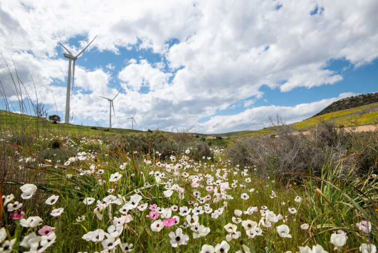 Scopri di più sull'articolo Programma LIFE 2026, nuovi finanziamenti europei per ambiente, clima ed energia