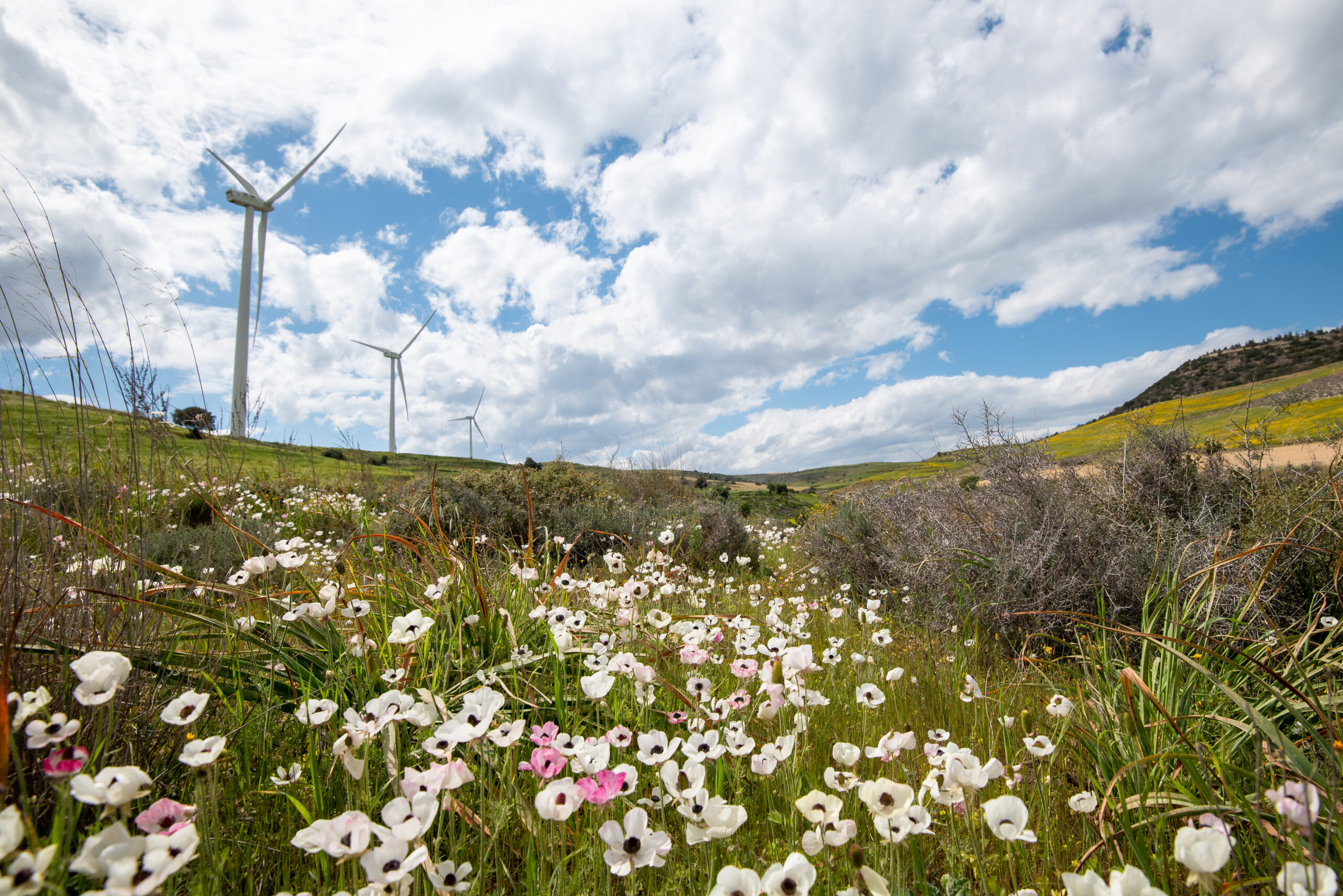 Al momento stai visualizzando Programma LIFE 2026, nuovi finanziamenti europei per ambiente, clima ed energia