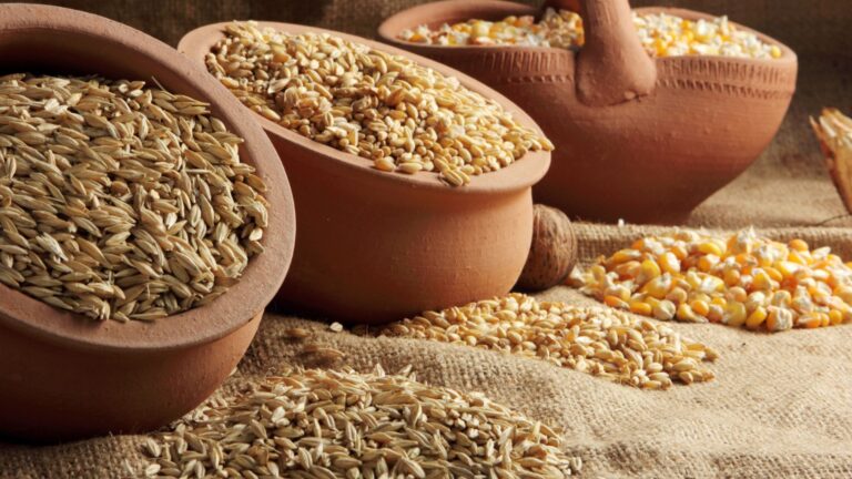 Scopri di più sull'articolo Opportunità di internazionalizzazione per le imprese agroalimentari siciliane