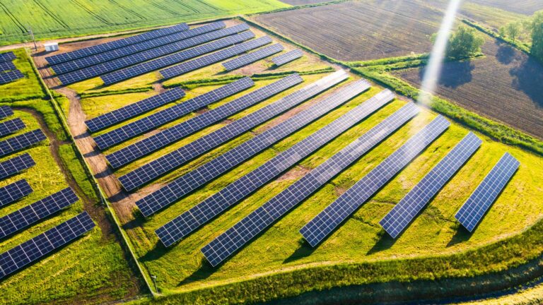 Scopri di più sull'articolo LIFE 2026: oltre 600 milioni di euro per ambiente, clima ed energia